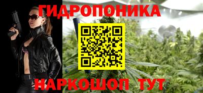 гашик Шебекино